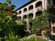 Top Losone