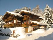 Ferienwohnung Johann Niedermoser