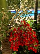 Top Cartagena de Indias