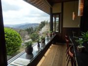 Top Misakicho
