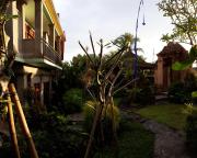 Top Ubud