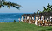 Top Paphos City