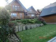 Top Solina Top Solina