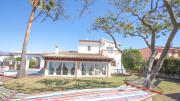 Top Alcudia