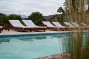Top Potrerillos