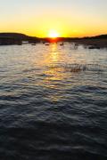 Top Lago Vista