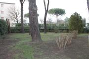 Top Lido di Spina