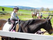 Top Hodousice