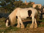Top Châteauneuf-Val-Saint-Donat