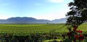 Top Vredendal