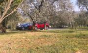 Top Monsummano