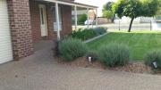 Top Numurkah