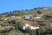 Top Arenas