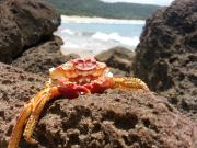Top Sodwana Bay