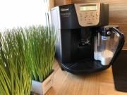 Top Kielce Top Kielce