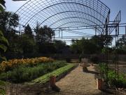Top St. Helena