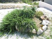 Sunny Apartman Pajdek