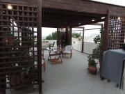Top Artemida