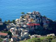 Top Corniglia