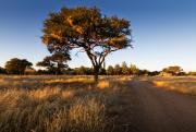 Ondekaremba - ONE Namibia