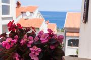 Top Mali Lošinj