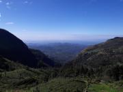 Ella Banana Rest Inn