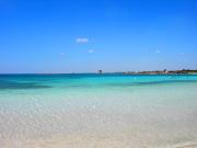 Top Torre Lapillo