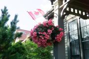 Top Charlottetown