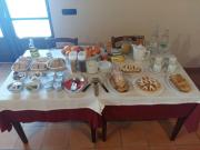 Top Padula Top Padula