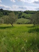 Top Tavarnelle in Val di Pesa