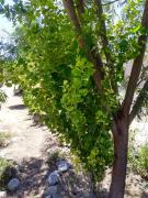 Top Amaicha del Valle