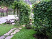 Top Svoboda nad Úpou