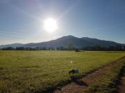 Top Gutach im Breisgau