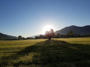 Top Gutach im Breisgau