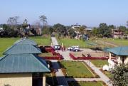 Top Sauraha