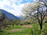 Top Bovec