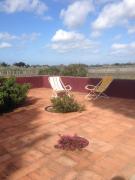 Top Bolgheri