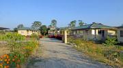 Top Sauraha