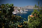 Top Symi