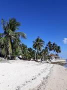 Top Siquijor