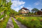 Top Ubud