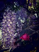 Top Saint-André-de-Cubzac