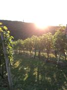 Top Loipersdorf bei Fürstenfeld
