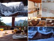 Chalet Clementine