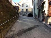 Top Radovljica
