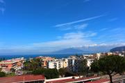 Top Sorrento