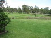 Top Muswellbrook