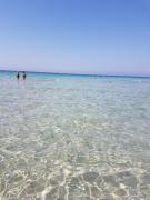 Top Lido Marini