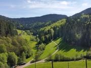 Top Oberharmersbach