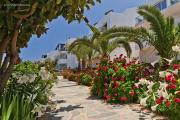 Top Karpathos Town